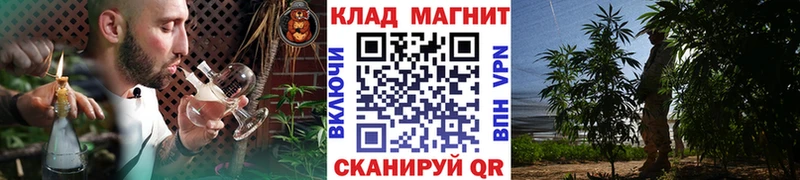 Где купить наркоту Новый Оскол Кокаин  МЕФ  Альфа ПВП  Канабис 