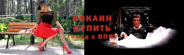 хмурый Кукмор